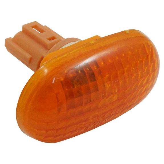 pisca-lateral-ldle-0496-rely-link