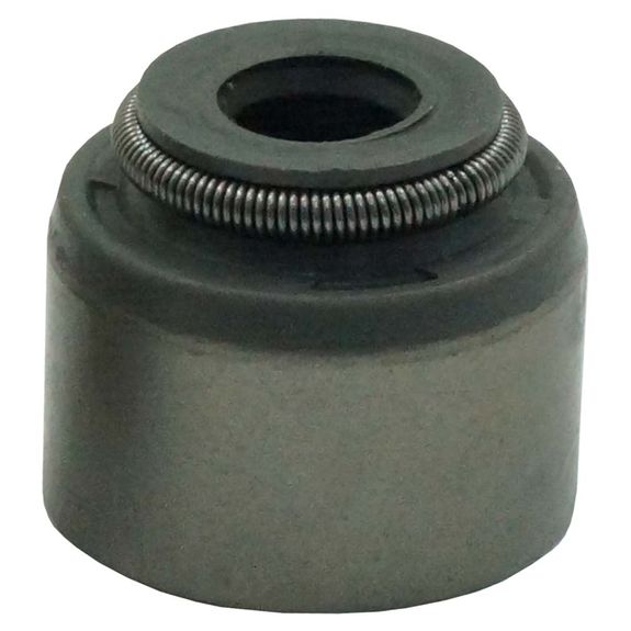 retentor-valvulas-escape-1-0674-lifan-x60