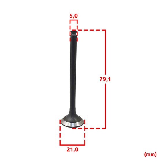 phk-valvula-escape-131-chery-qq-11-v5-tp1