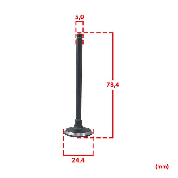 phk-valvula-admissao-121-chery-qq-11-v5-tp1